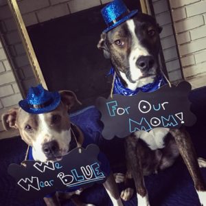 INSPIRE’s March “Wear All Blue” – DAY 6